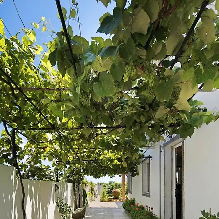 Casa De Ferias Garrett 펜션 *