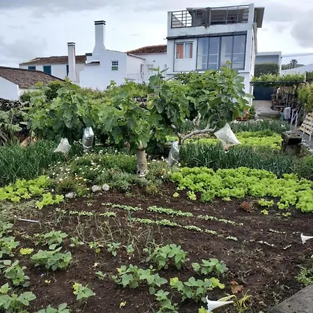 Casa De Ferias Garrett 펜션 라고아